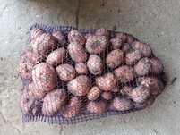 Ziemniaki Bellarosa