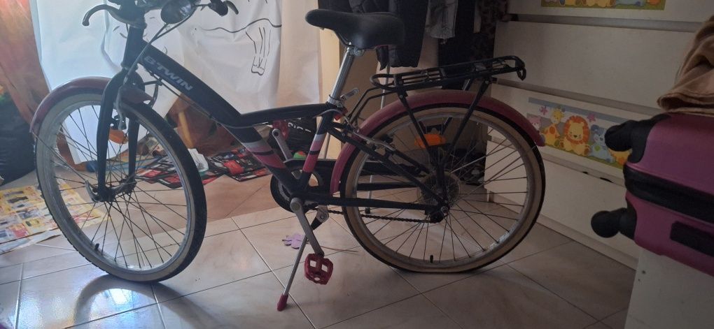 Bicicleta Adulto