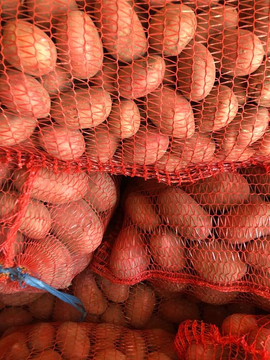 Картопля вирощена без хімічних добрів.