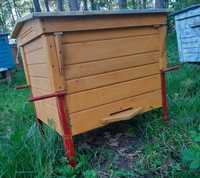 Zestaw - pszczoły + ul, ramka dadant, rodziny przezimowane