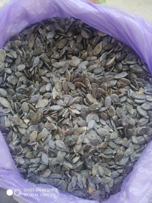 Продам семочки гарбуза