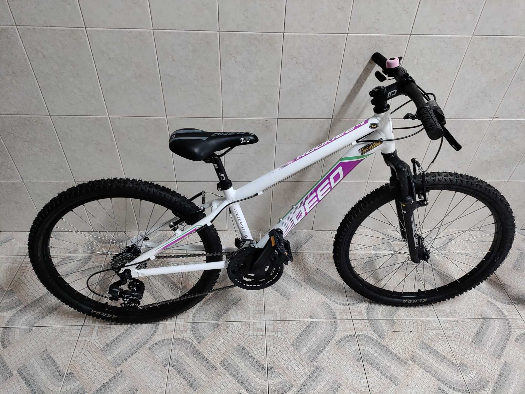 Bicicleta deep Rockie 24