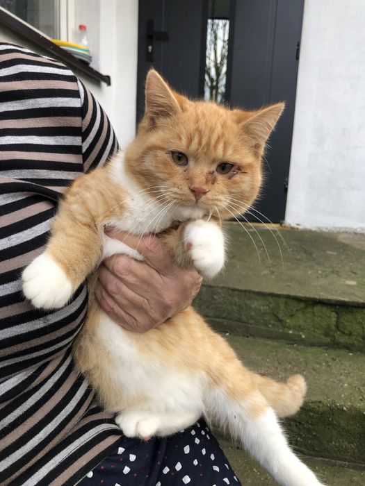 Filipek szuka kochanej rodziny