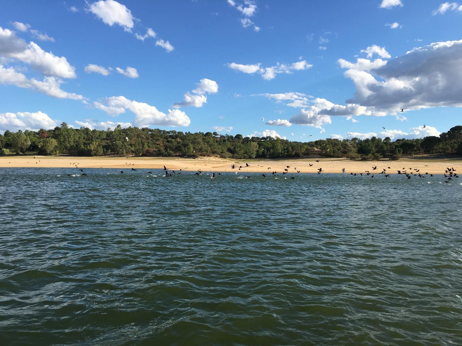 Moradia em Montargil (Barragem de Montargil)