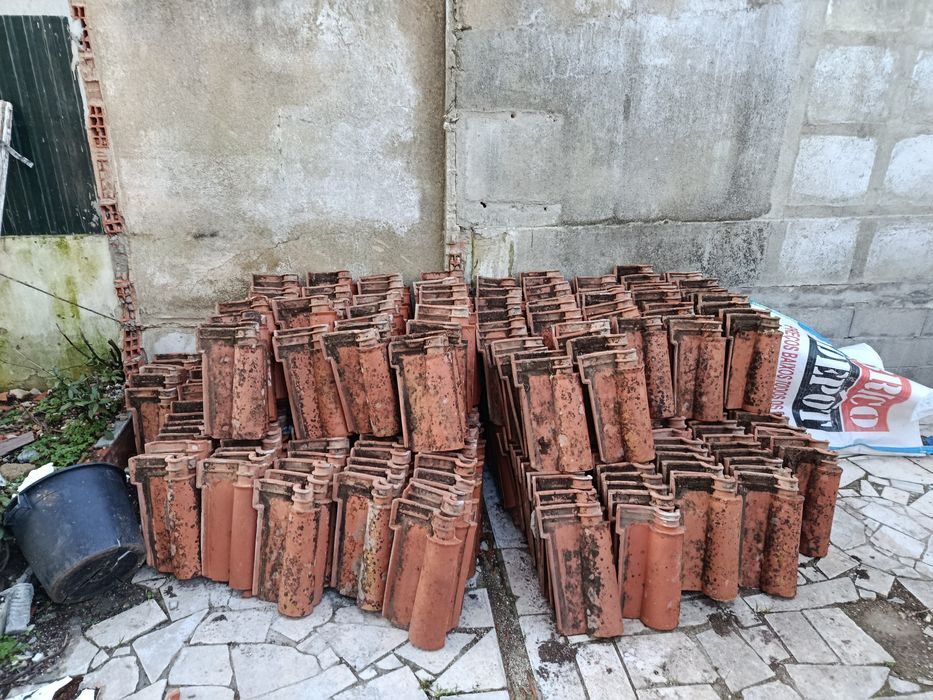 Telha Lusa - Porto de Mós