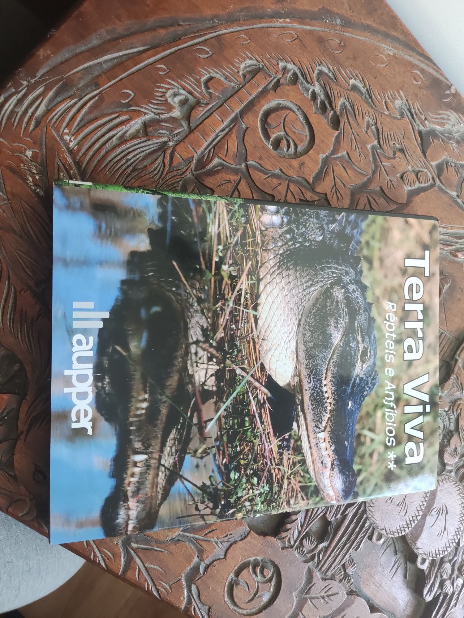 Coleção Terra Viva Completa Livros de Ciencias Naturais e Biologia