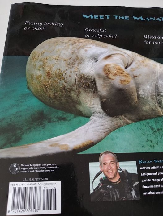 Face to Face with Manatees National Geographic