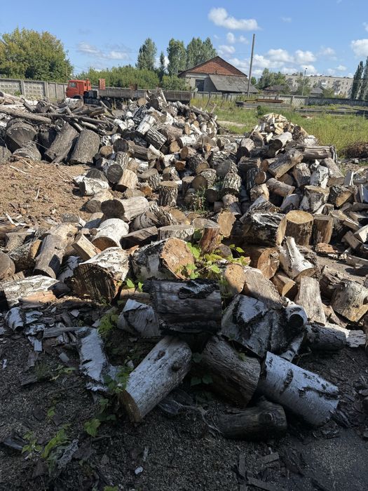 Продам дрова береза