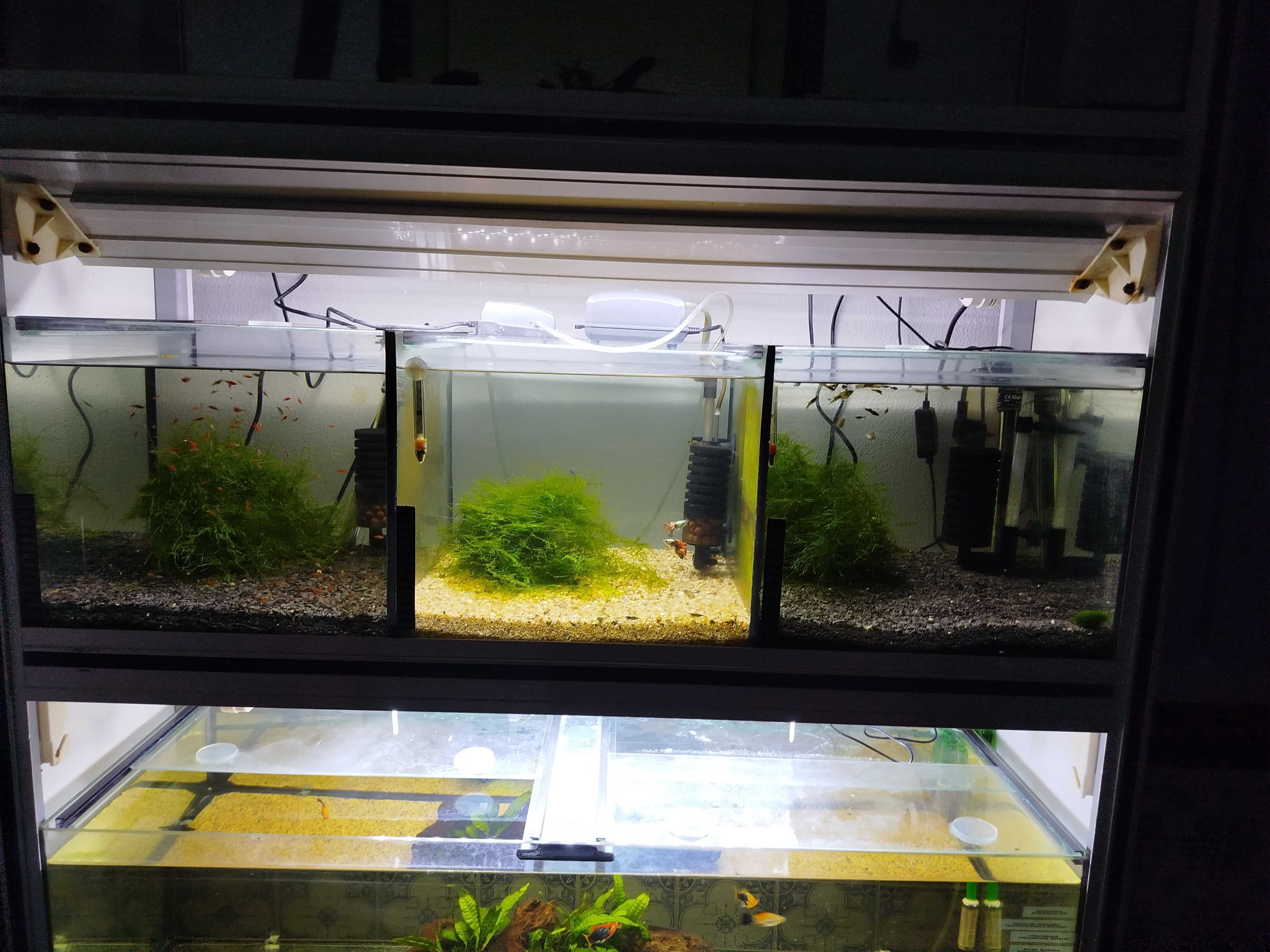 Iluminação aquário led 60 - 75 cm novo