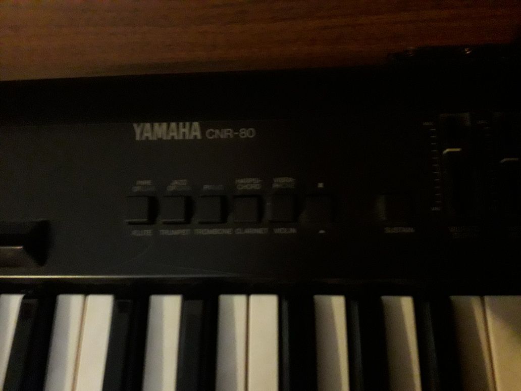 Organy YAMAHA CNR 80