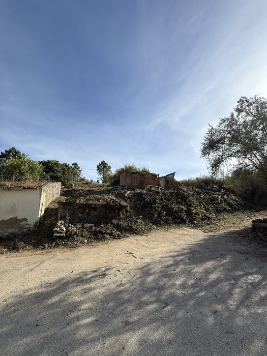 Trabalhos florestais- desbastes- desmatamento- abate de arvores