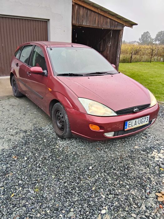 Tania Foczka na dojazdy do pracy