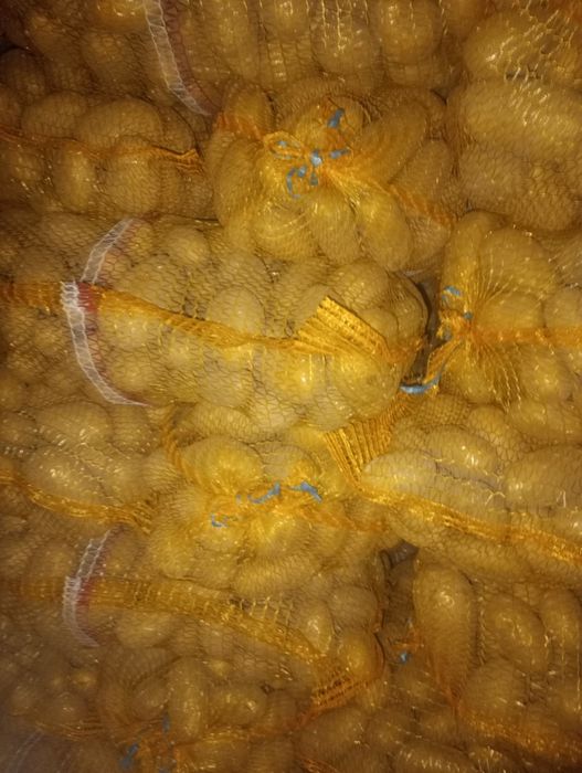 Sprzedam Queen Anna i denara