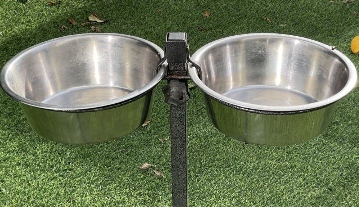Comedouro e Bebedouro comSuporte  para Cão...