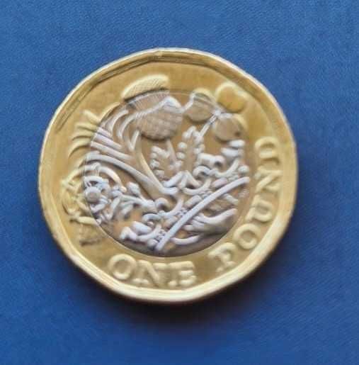 moeda rara de 1 Libra Isabel II