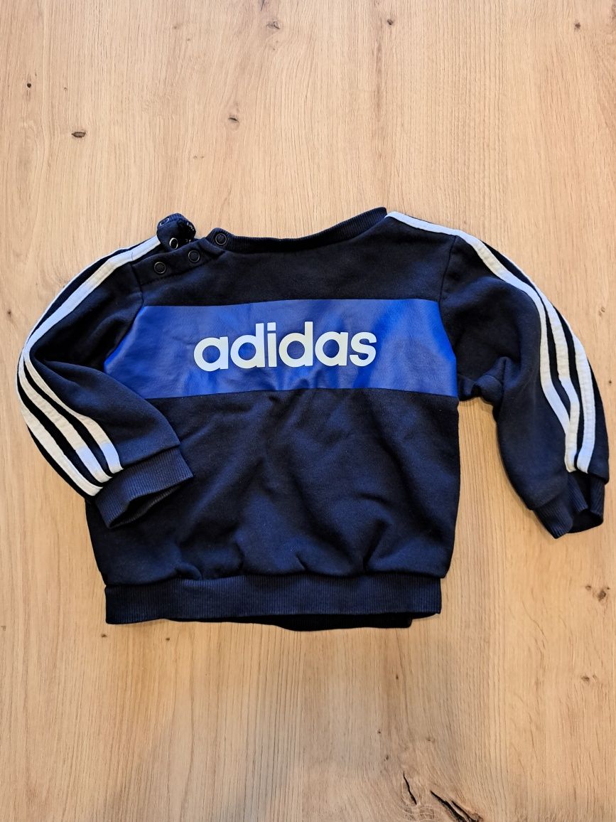 Chłopięca bluza Adidas 9-12 miesięcy