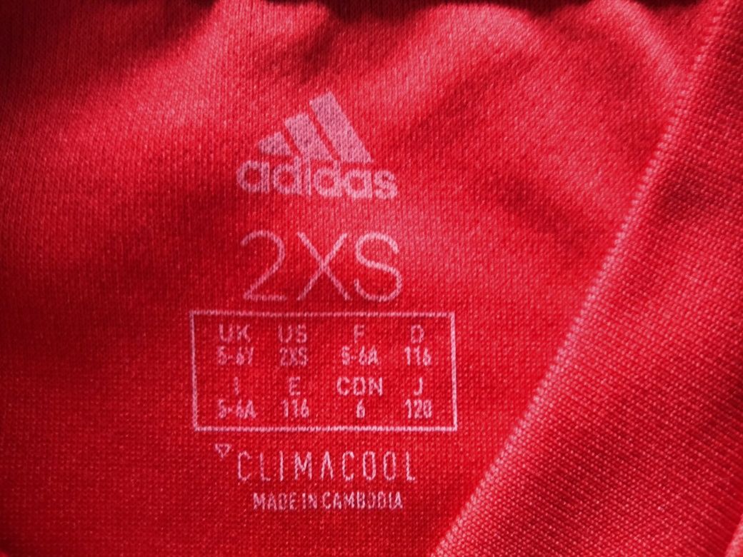 Camisola Benfica criança 5/6 anos