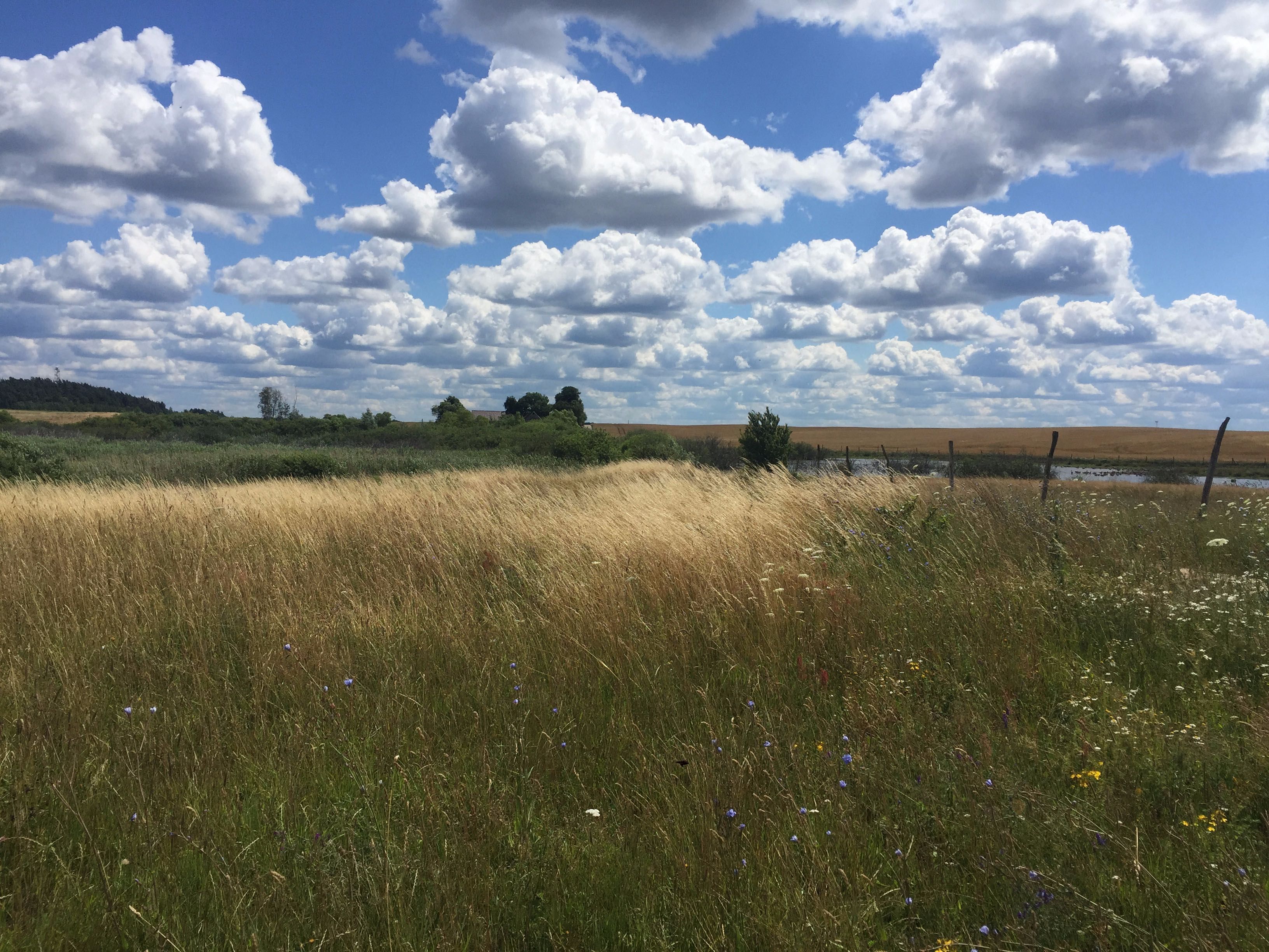 wyjątkowo piękna działka  (7 ha stawów + 13 ha łąk)