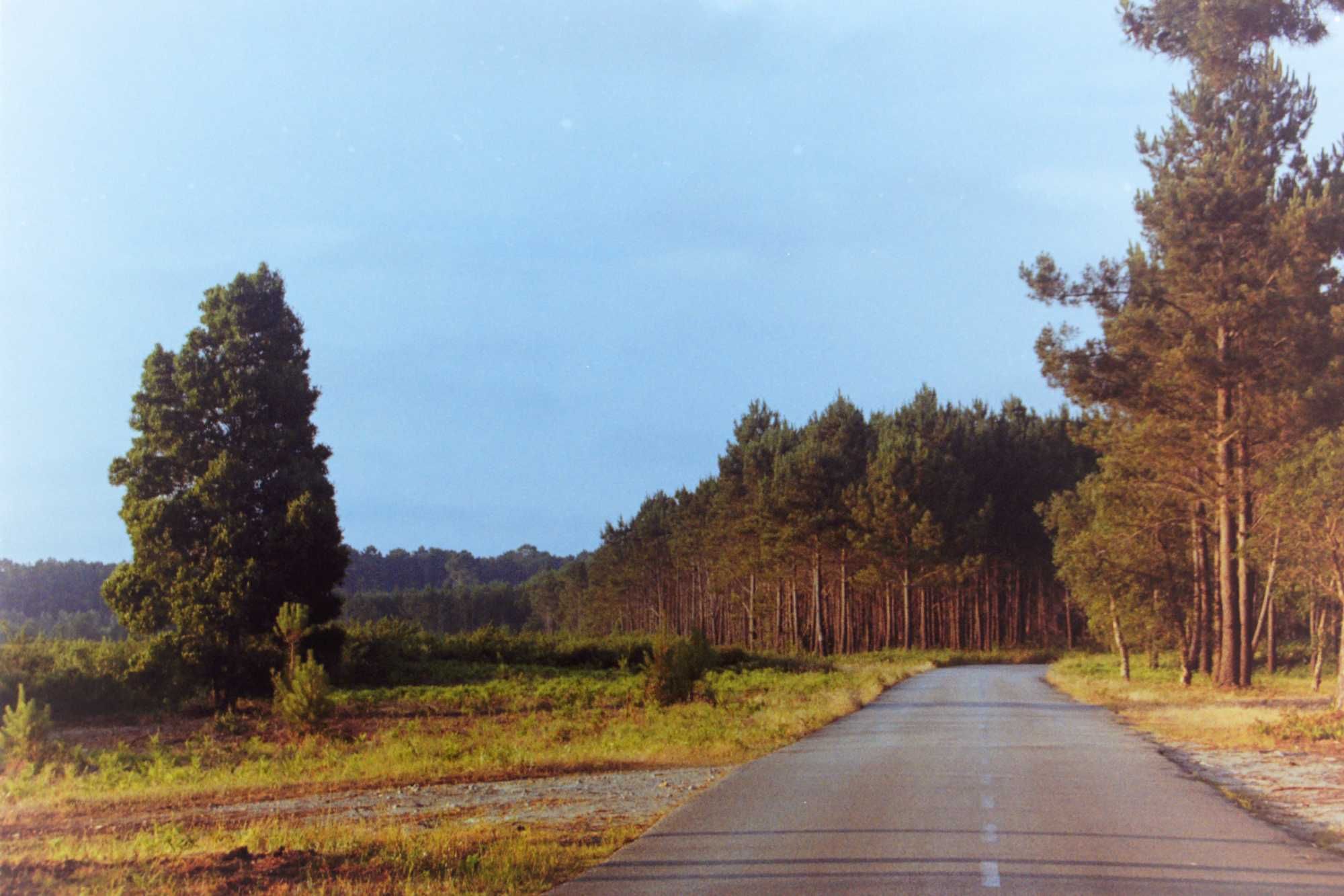 Pack 3 Kodak Gold 200 36exp 35mm