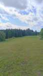 Sprzedam las 6,22 ha