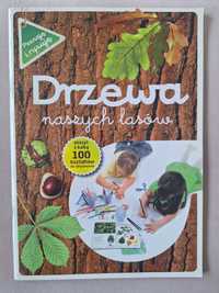 Drzewa naszych lasów cz.1 Zeszyt z kalką. Poznaję i rysuję.