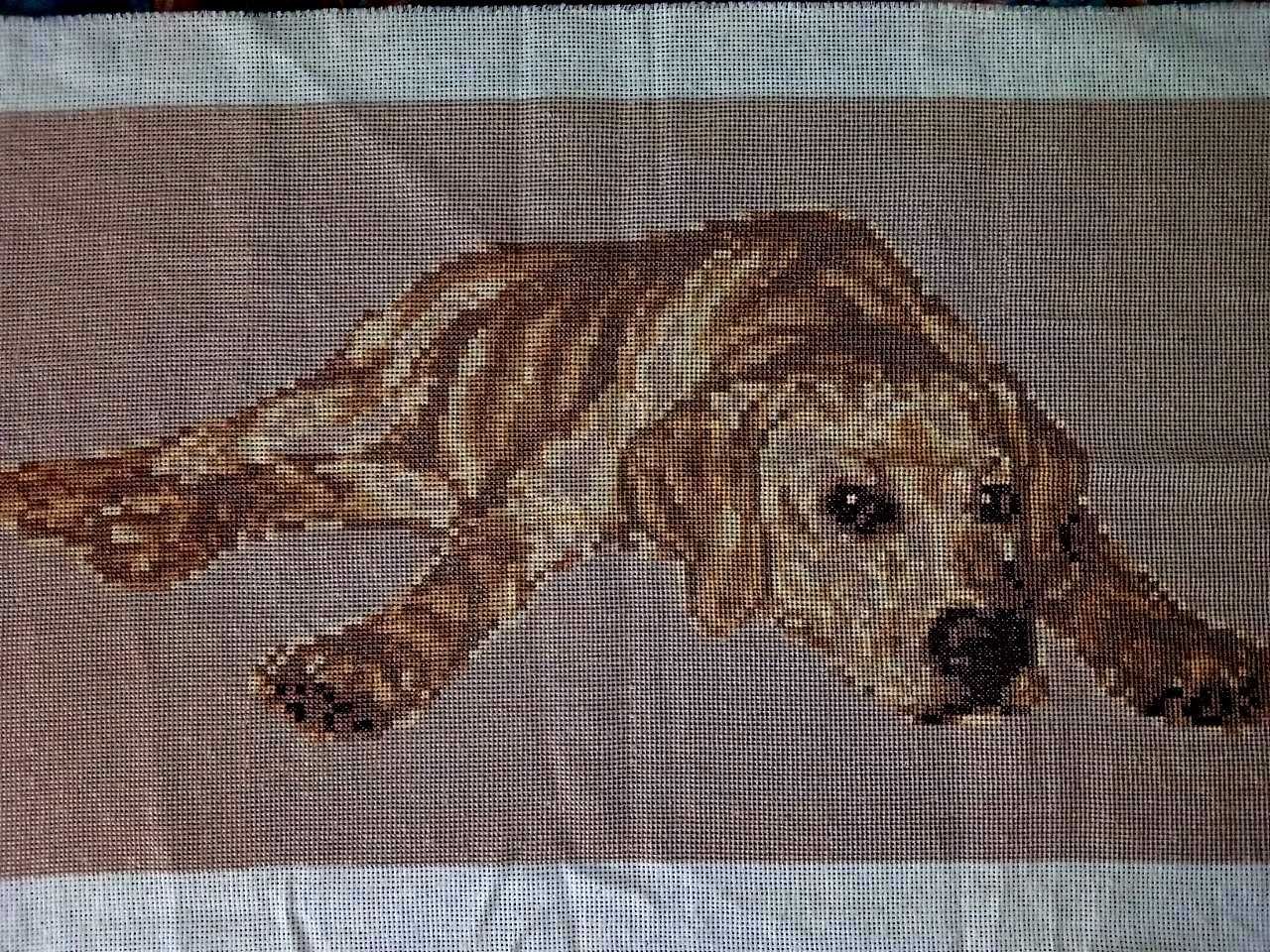 Картина вышитая руками "Собака на коврике"