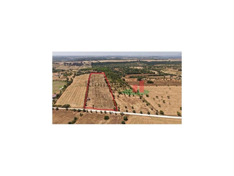 Terrenos rústicos Almoster***RIOMAGIC***