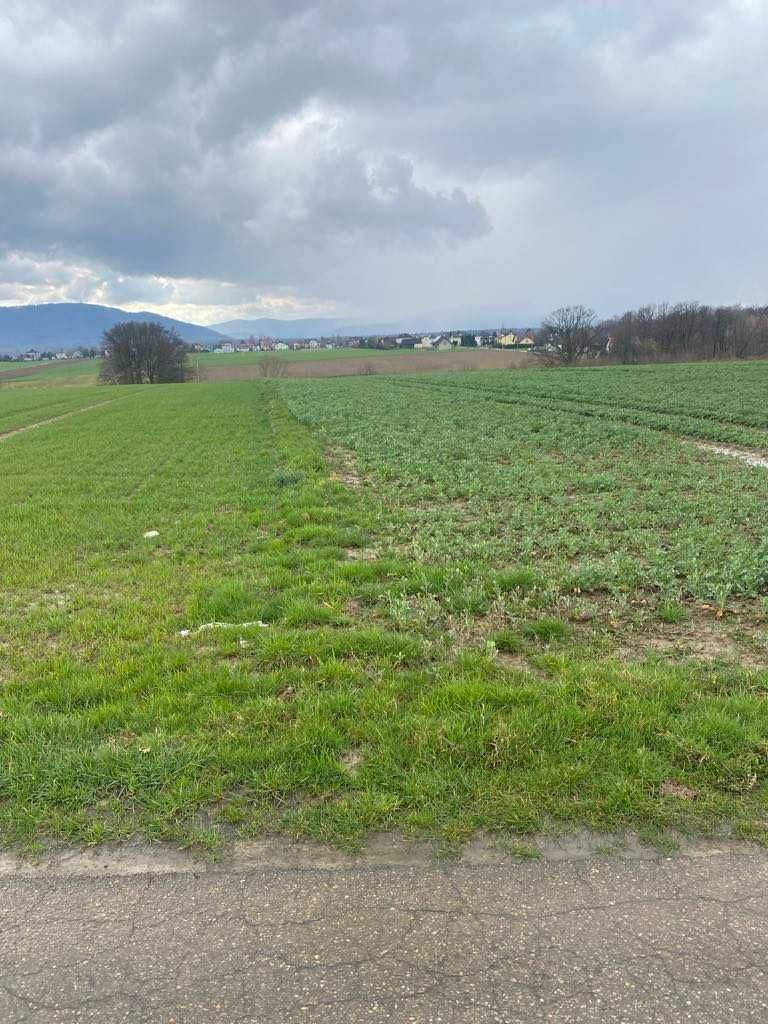 Działka budowlana w Bulowicach