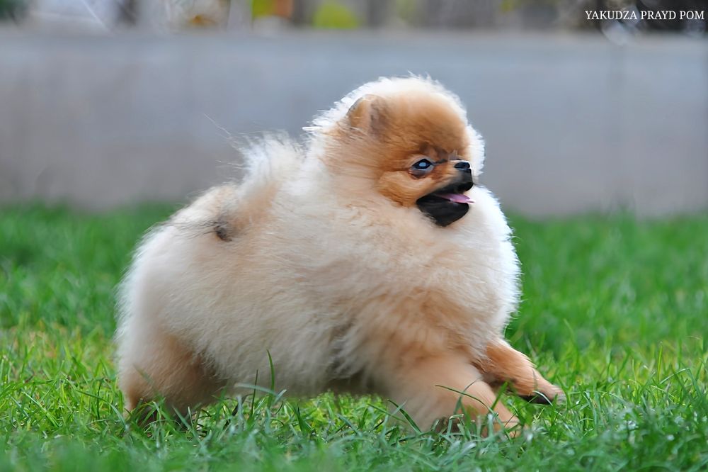 Незабутні очі цього малюка