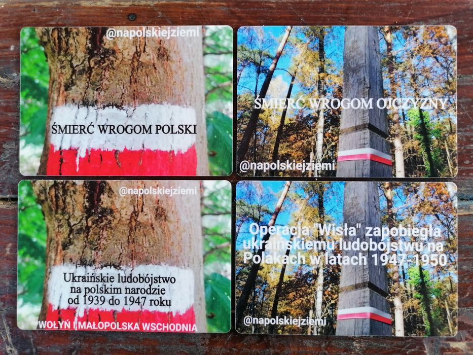 Magnes patriotyczny 10x7