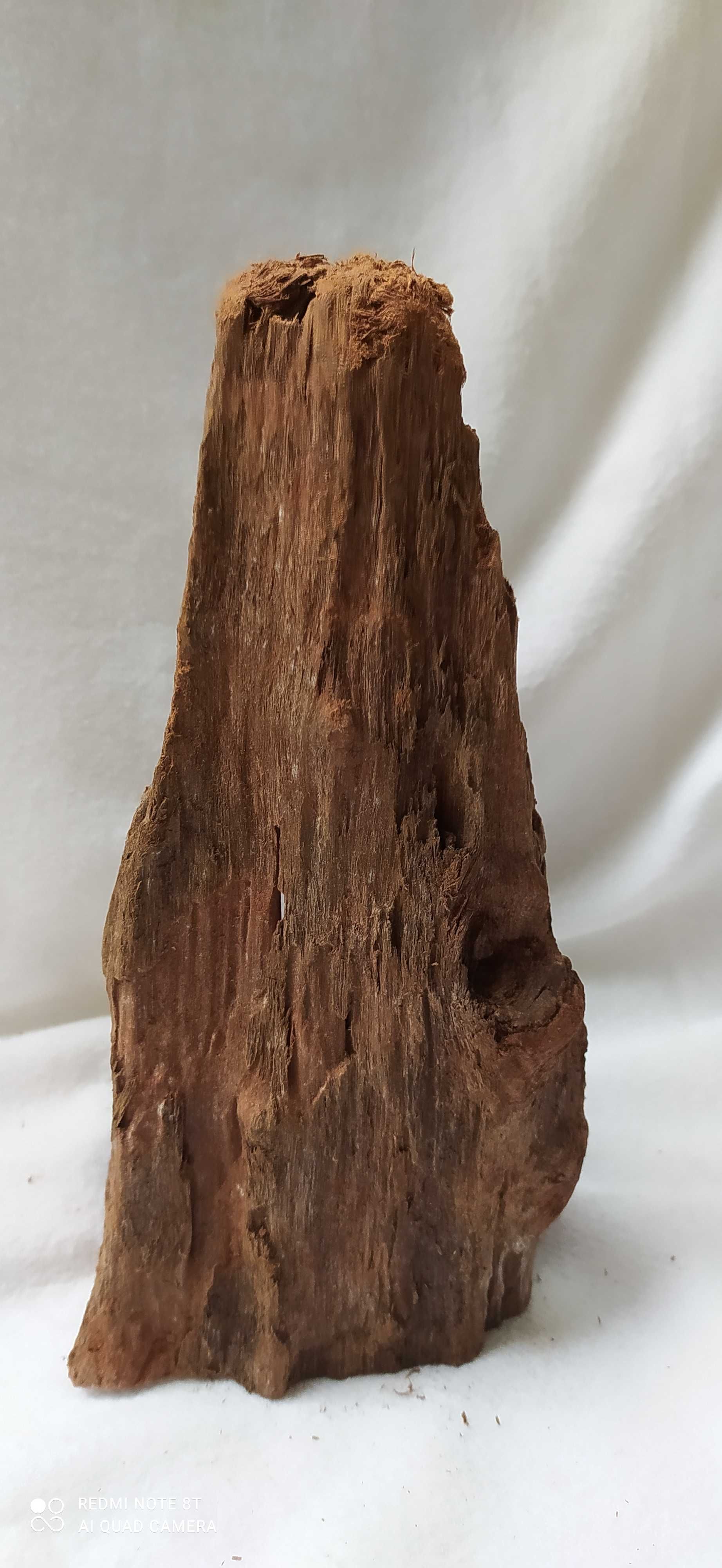 Drewno do akwarium-20,5 cm