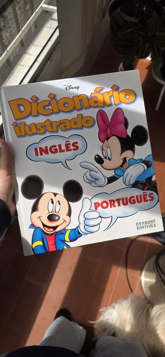Livro Dicionário Ilustrado Disney