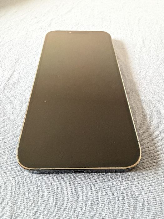 iPhone 13 pro max 256 GB