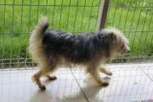 076343 Konrad do adopcji