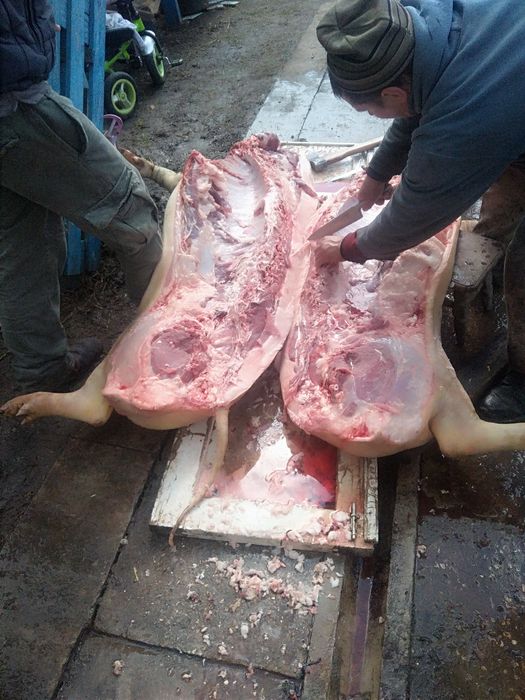 Свині тушками четвертинами