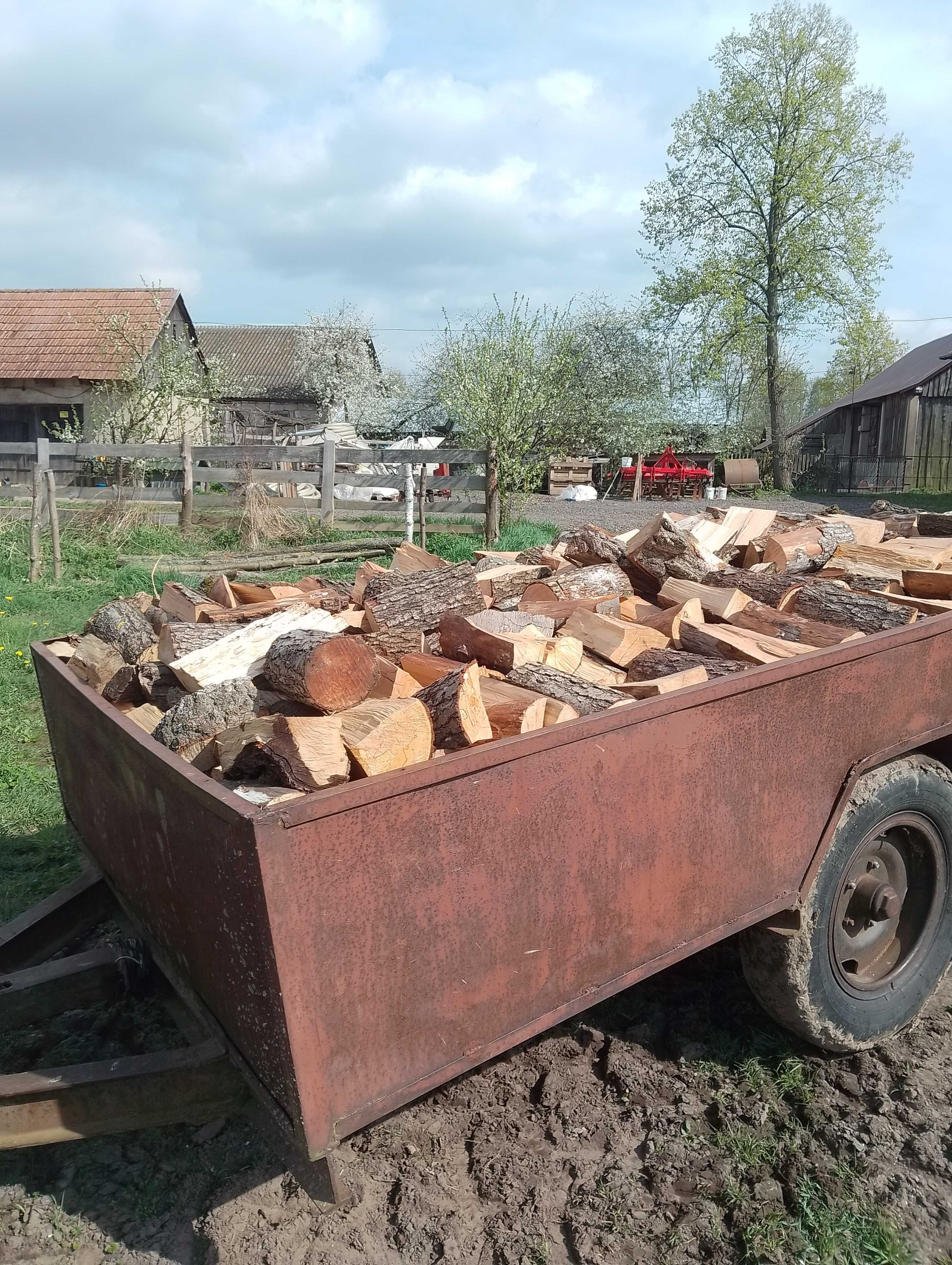 Drzewo opałowe brzoza olcha sosna