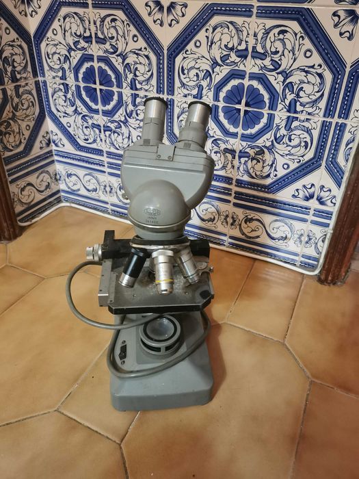 Microscópio profissional para destralhar