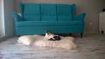 Sofa ikea strandmon