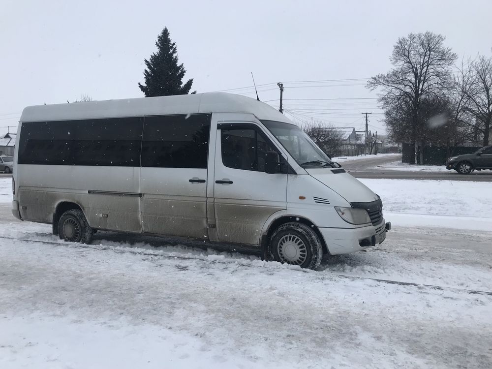 Пассажирские перевозки