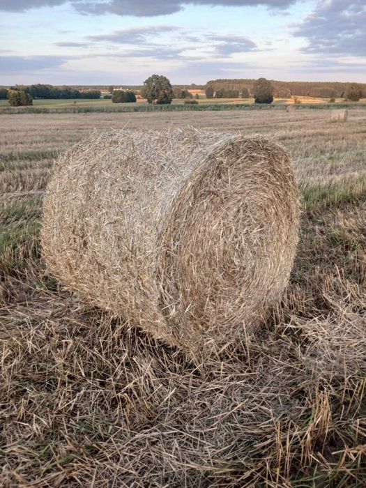 Prasa belująca Massey Ferguson 822