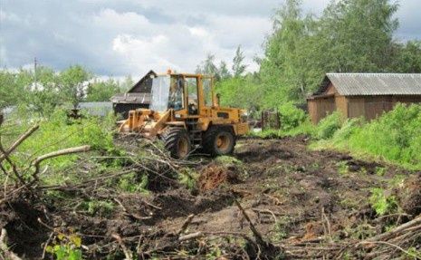 Спил деревьев любой сложности !!! Корчевание, уборка участка.