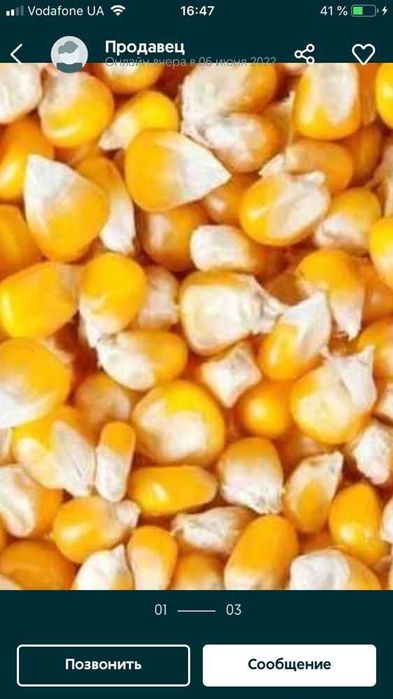 Продам кукурузу 7.00 грн за кілограм