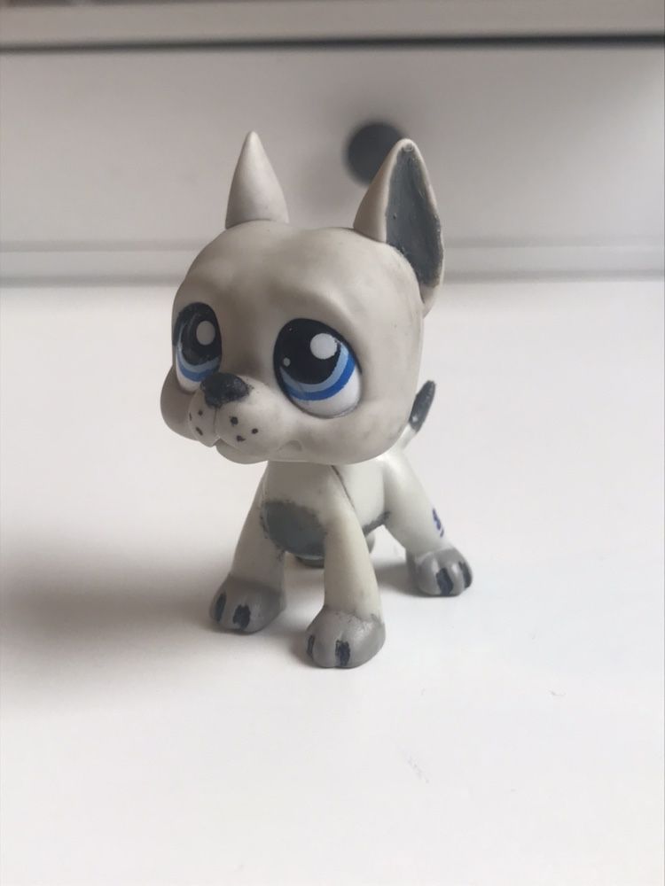 LPS Szary dog niemiecki Littlest Pet Shop petshop, figurka przerobka