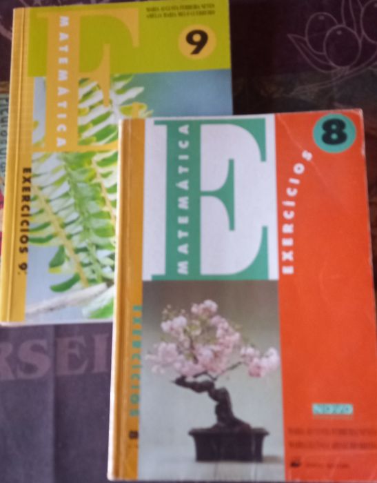 Matemática 8/9 ano (2 vol.)