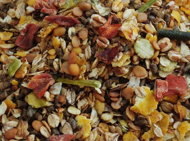 Aktiv Musli Owocowe Dla Koni Aktywnych Panto 20kg