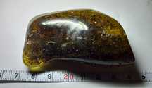 Naturalny bursztyn bałtycki bryłka 25.70g.