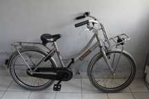 Rower dziecięcy ALPINA CARGO, Rozmiar ramy 35 cm, Koła 22"
