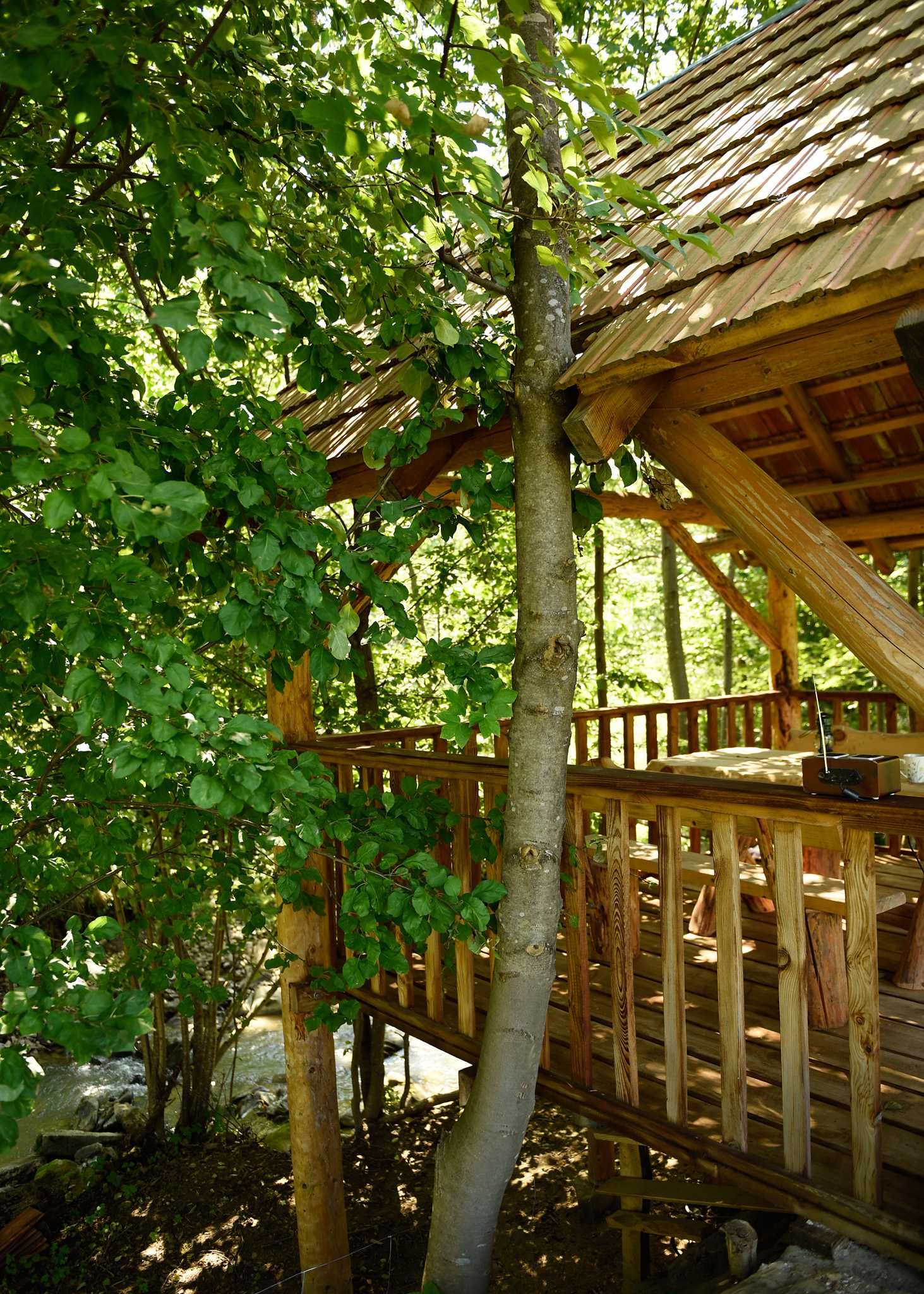 Domki dwuosobowe-Wilcza Wola,sauna sucha opalana drewnem.