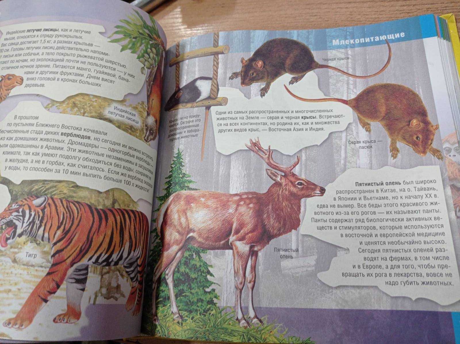 Книга Животные. Иллюстрированная энциклопедия. 1000 интересных фактов