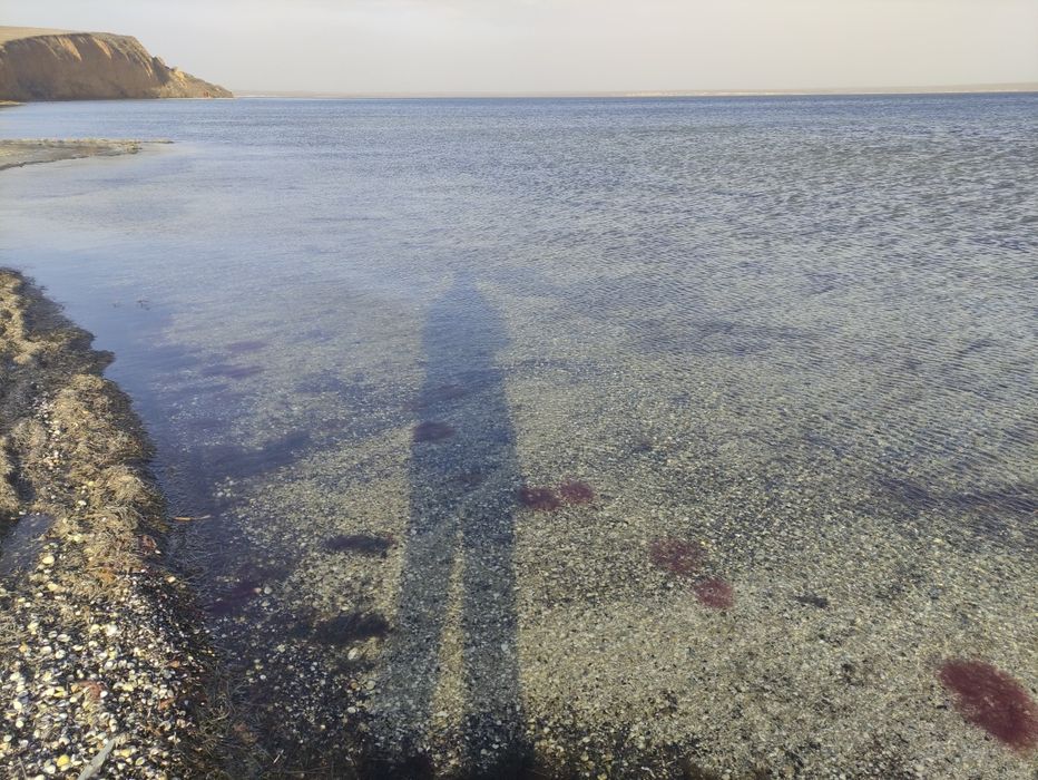 Хозяин Участок 12 соток Любополь дачи свой Тилигул